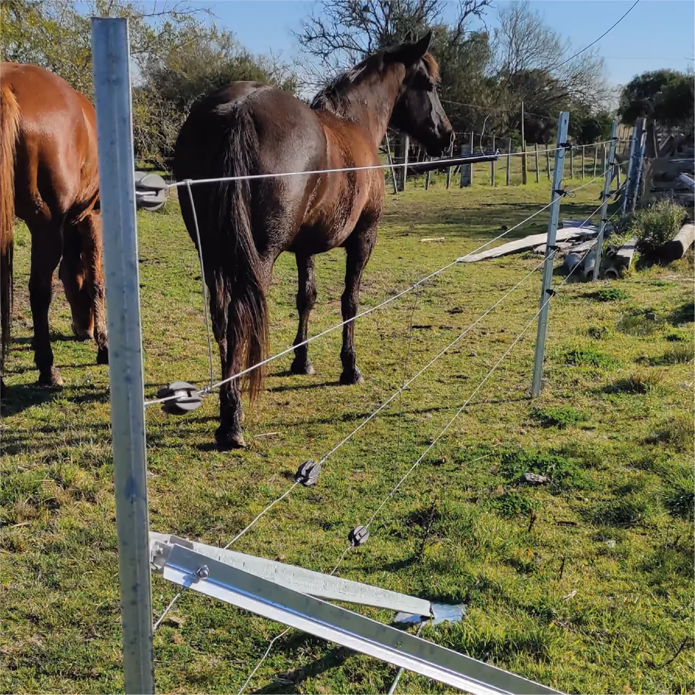 Instalación del sistema de alambrados Ecofence, fotografía 2