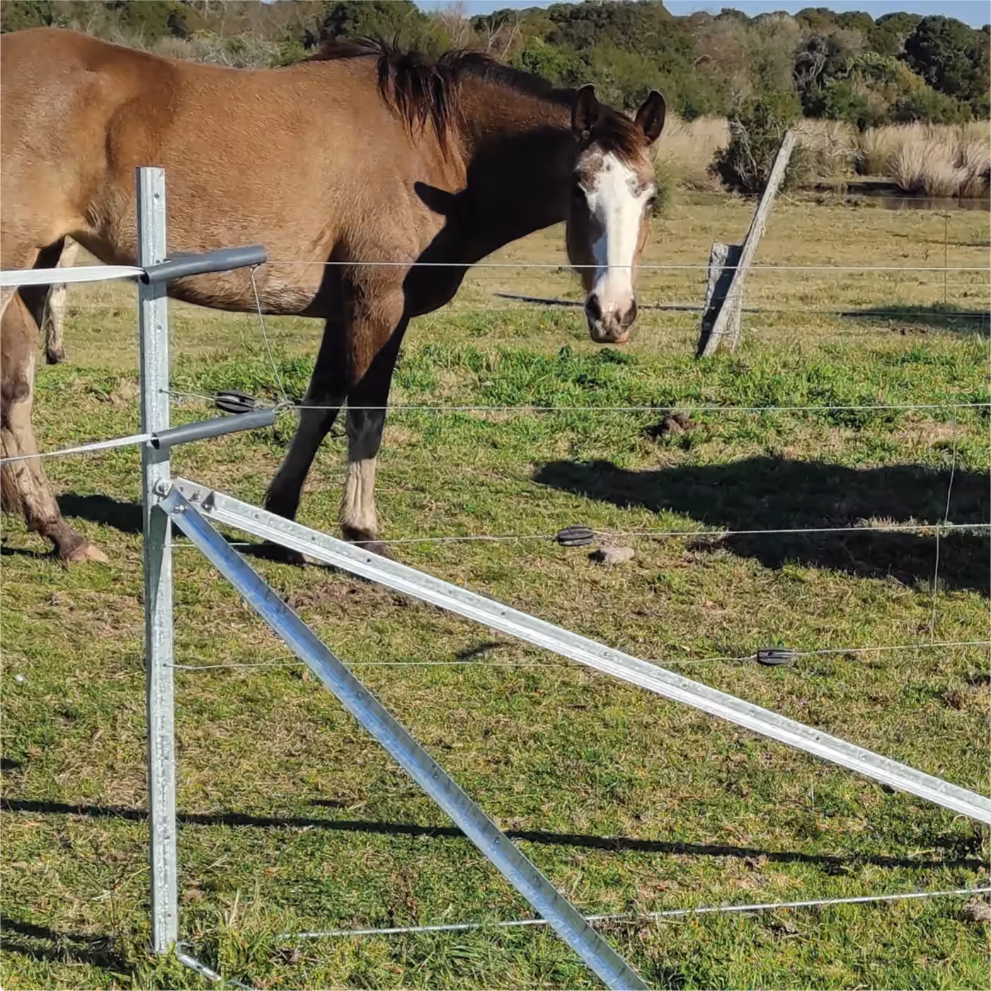 Instalación del sistema de alambrados Ecofence, fotografía 5