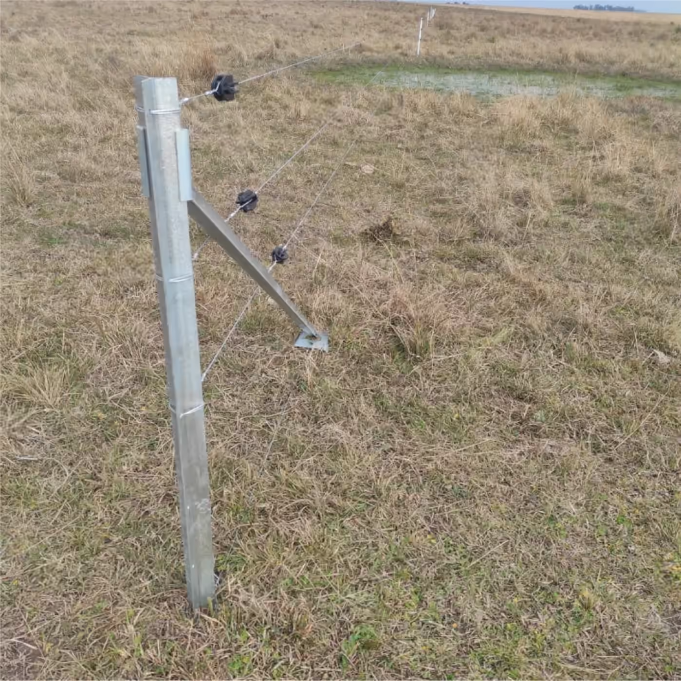 Instalación del sistema de alambrados Ecofence, fotografía 10