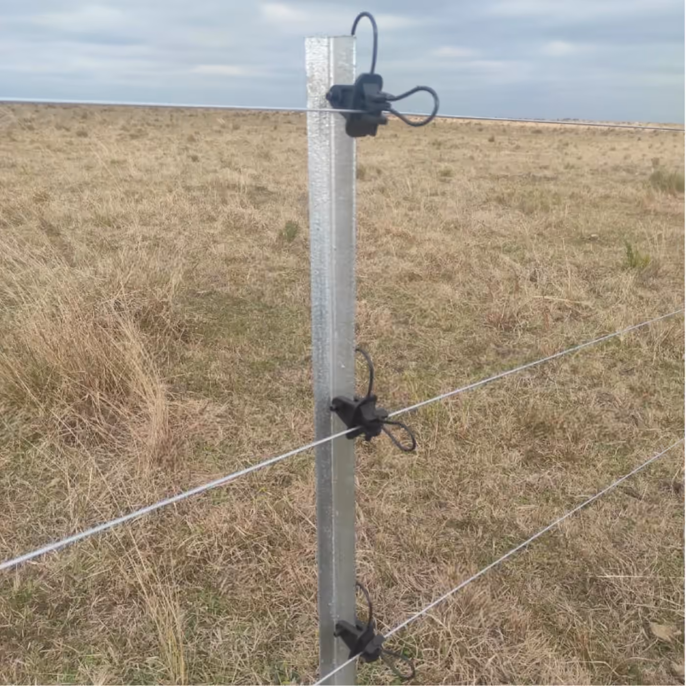 Instalación del sistema de alambrados Ecofence, fotografía 11