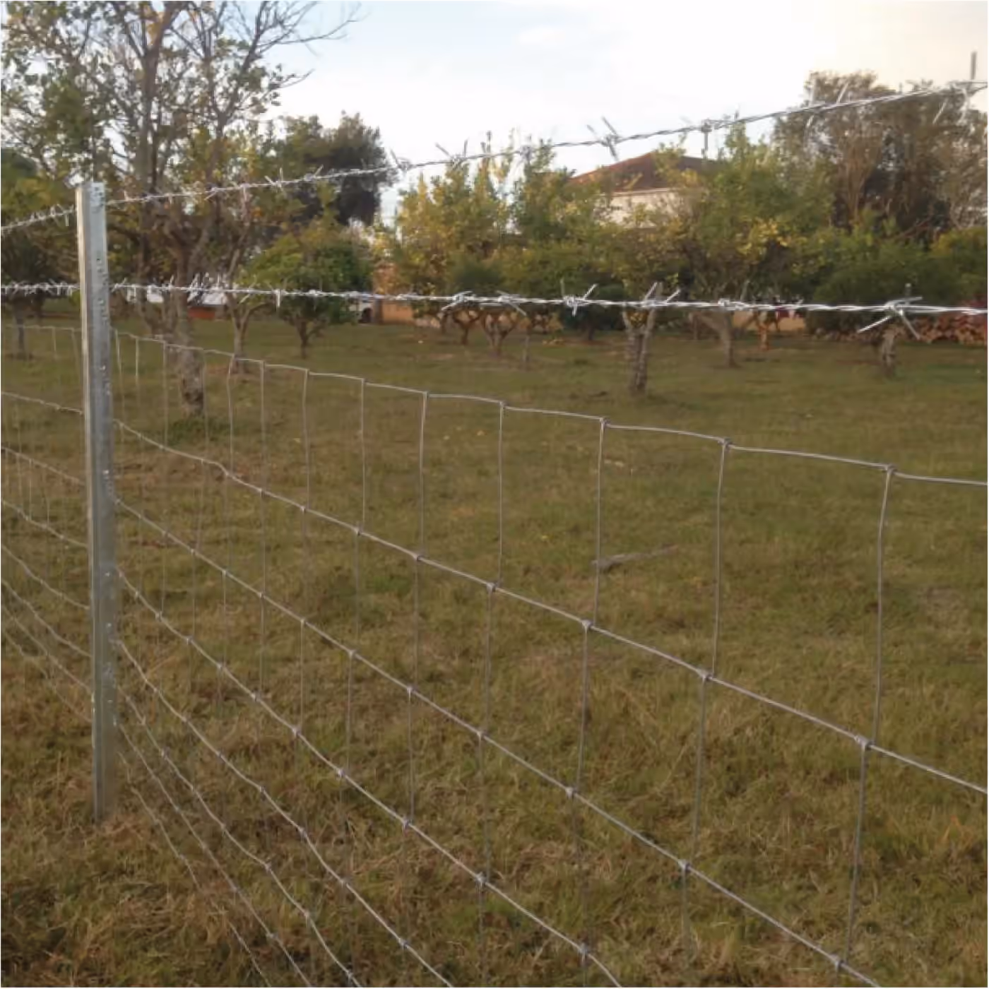 Instalación del sistema de alambrados Ecofence, fotografía 14