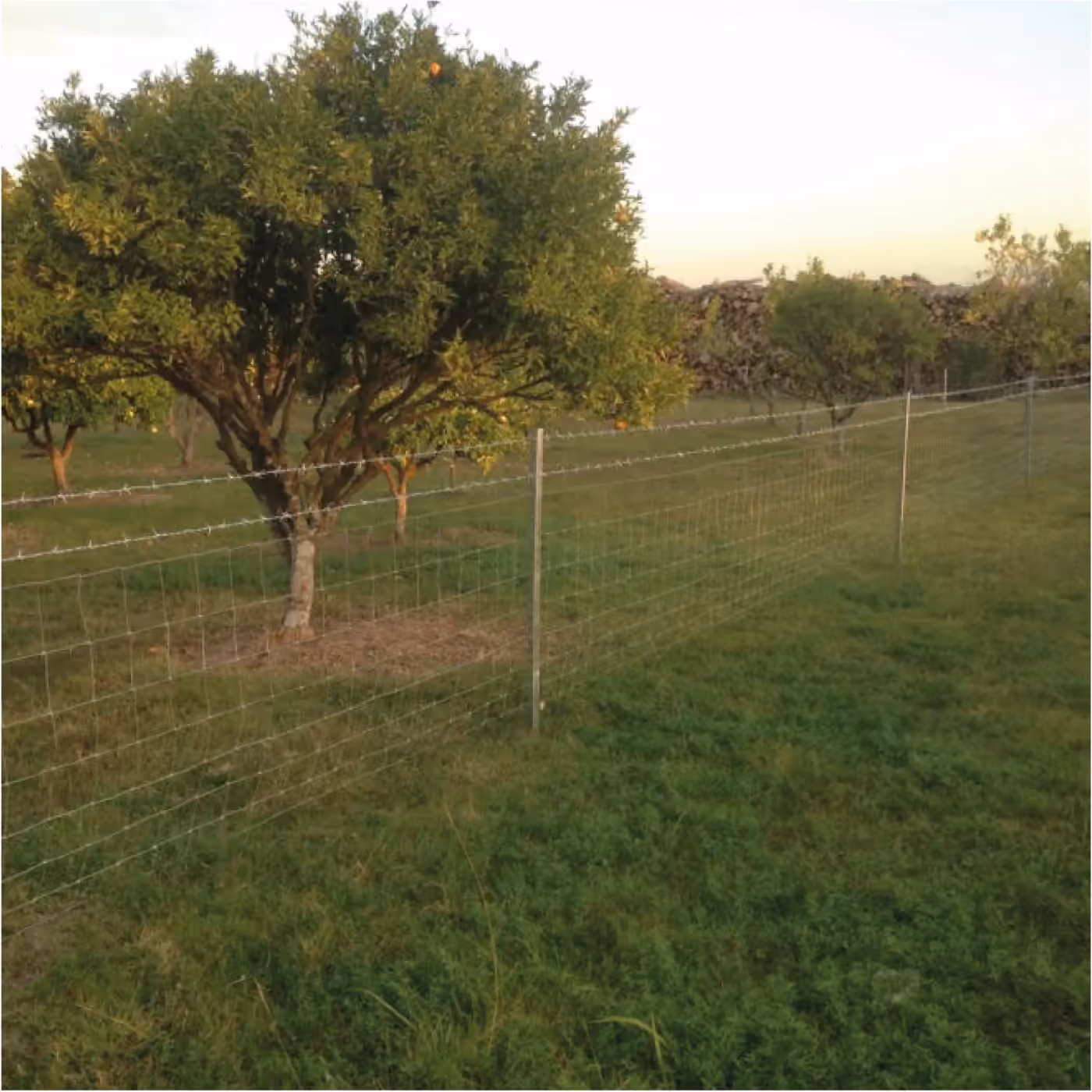Instalación del sistema de alambrados Ecofence, fotografía 17