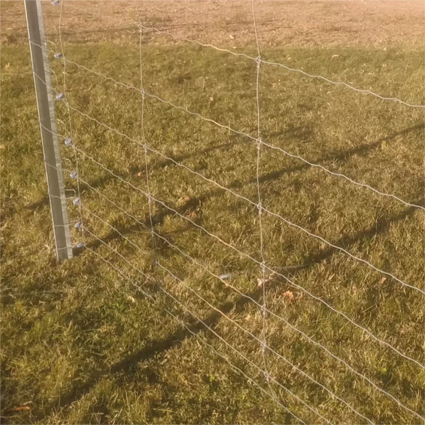 Instalación del sistema de alambrados Ecofence, fotografía 19