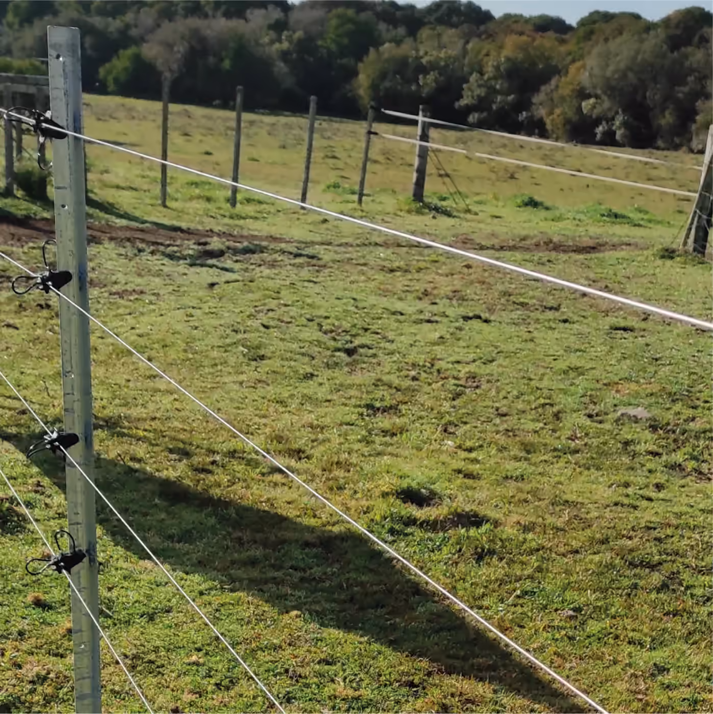 Alambrado Ecofence instalado en el campo